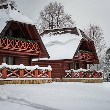 Brvnare Park Borova Villa Zlatibor Exterior foto