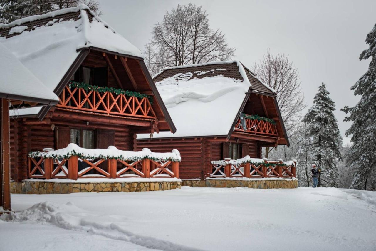 Brvnare Park Borova Villa Zlatibor Exterior foto